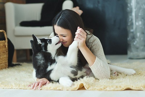 Nemáte partnera? Pořiďte si domácího mazlíčka